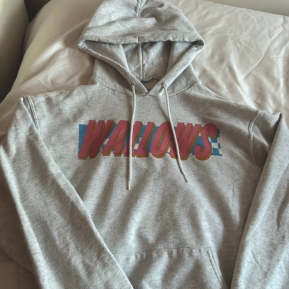Wallows champion hoodie